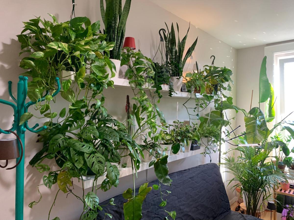 Urban Jungle Oasis In Queens! Apartment New York Exterior photo